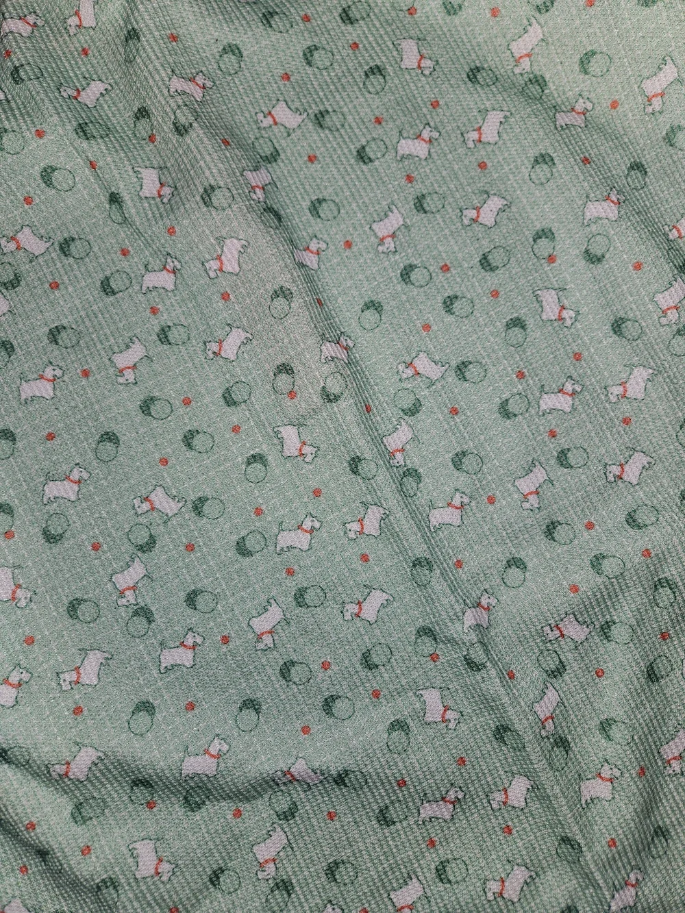 American Girl Mint Green Long-Sleeve Pajama Set with Coral Trim